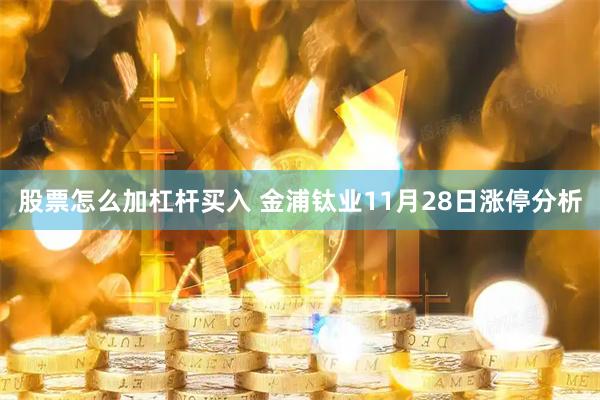 股票怎么加杠杆买入 金浦钛业11月28日涨停分析